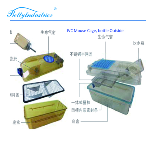 IVC Mouse Cage 